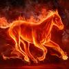 FireHorse