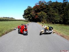More information about "Bikes in the Road.JPG"