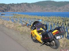 Columbia River at historic Knappton, whats left of it. 02/17