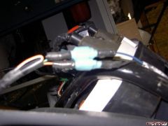 Aprilia signal lights only have two wires