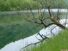 Lake below Fontana Dam