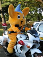 More information about "Japanese Police VFR"