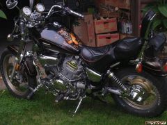 1986 Virago XV1100s with tiger left side glowing.JPG
