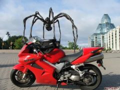 More information about "A spider attacking my VFR!"