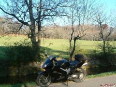 Nov. 12th 06 ride 015.jpg