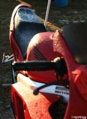 Morning frost on the track