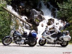 The family bikes.