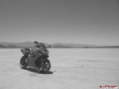 More information about "El Mirage B&W"