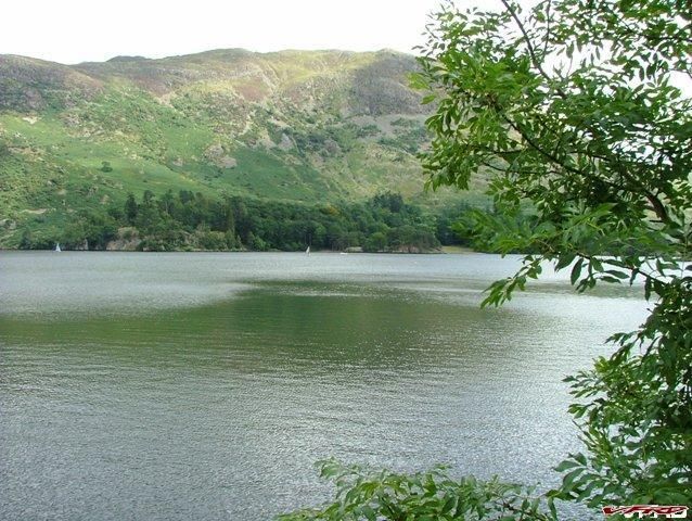 gallery_4980_1544_56105.jpg