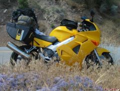 8. tracy\'s vfr with the flowers_1.jpg