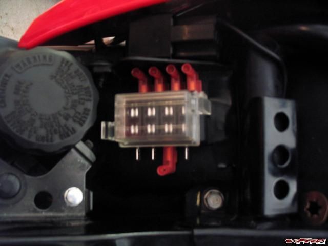 med_gallery_11291_3273_74049.jpg