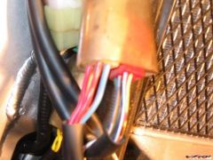 Red w/black wire for Harness Tap.jpg