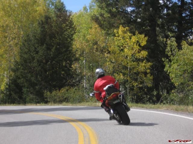 gallery_491_3398_224388.jpg