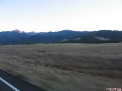 Baldy Peak at Sunset