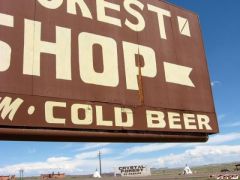 what\'s a petrified forest without beer?.jpg