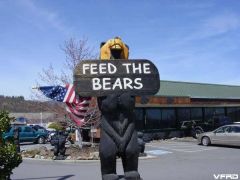 Feed the Bears.JPG