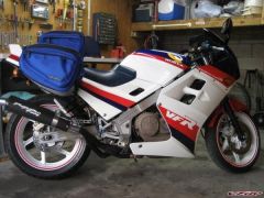 More information about "IMG_0516.jpg"