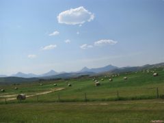 Rockies haybales and pastures this time