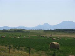 Haybales Rockies and Pastures
