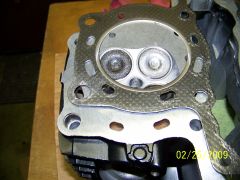 New and old gaskets 003.JPG