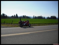 farmland outside Carlton Oregon