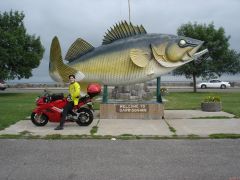 More information about "Walleye anyone??  Lake Mille Lacs in background"