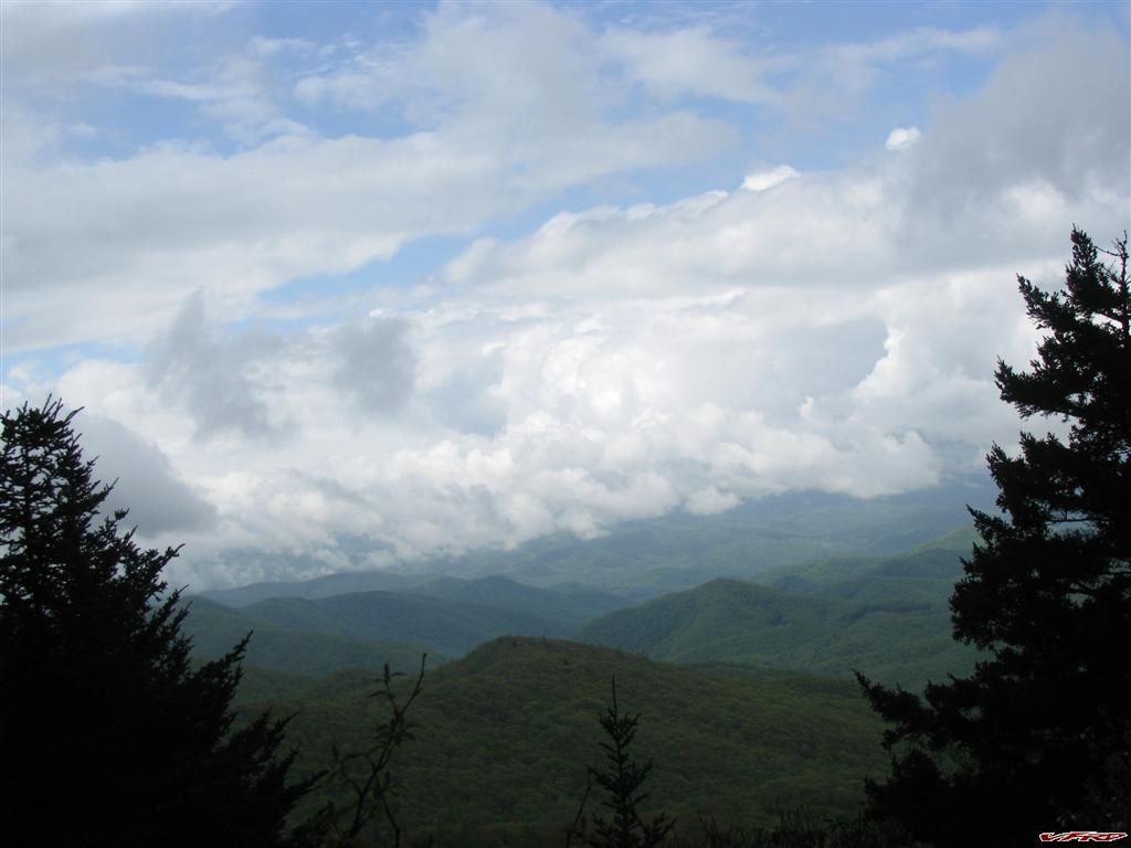 gallery_491_3823_23091.jpg