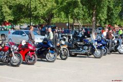 The VFR amongst other participants