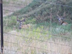 CO Summit trip 09 077.jpg