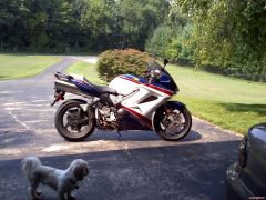 My new VFR and my puppy