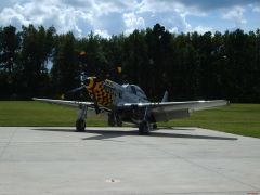 P-51D Mustang (had just landed)