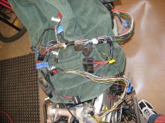 More information about "Tracken Viffer Wire Harness.jpg"