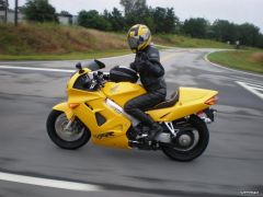 Yellow Rider2.jpg