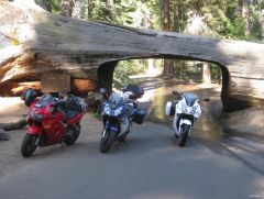 More information about "Tunnel Log - Sequoia National Park"