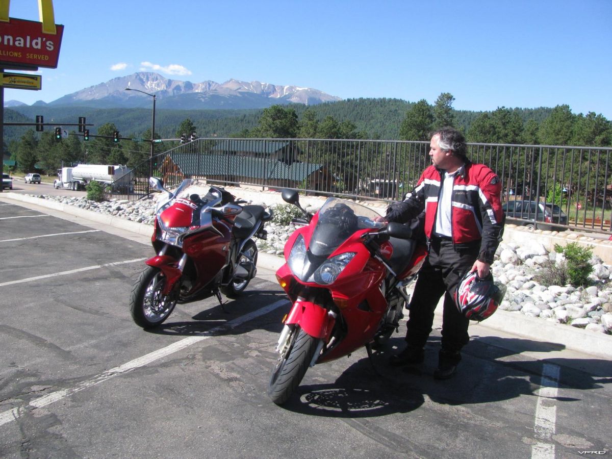 gallery_491_3463_1028014.jpg