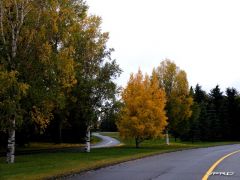 2010_1011CanadianCaper0024.JPG