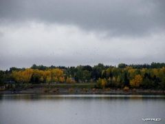 2010_1011CanadianCaper0003.JPG