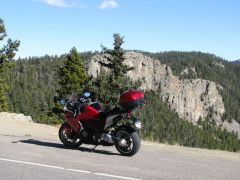 Veefalo on Squaw Pass