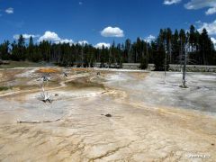 2010 bbb Yellowstone Day 14 (6).jpg