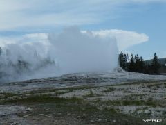 2010 bbb Yellowstone Day 14 (20).jpg
