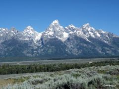 2010 bbb Yellowstone Day 14 (1).jpg