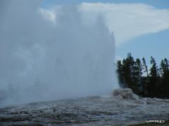 2010 bbb Yellowstone Day 14 (23).jpg