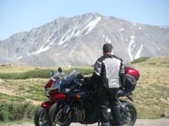 With Reddog at Independence Pass.
