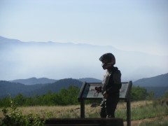 Reddog surveys the Springer Fire