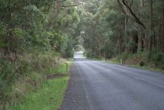 Road to Bowral from Kangaroo Valley