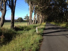 Highland Way, NSW