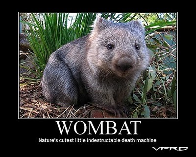 Wombat