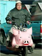 Pig bike
