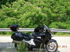 More information about "2006 ST1300 in Arkansas, spring 2012"