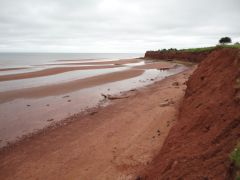 PEI Vaca 046